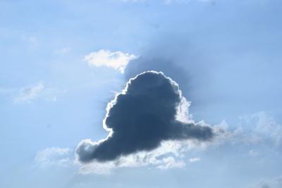     Cloud-Anwendungen – ein Thema für viele Händler